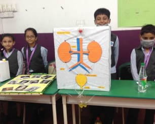 International School in Malaysia