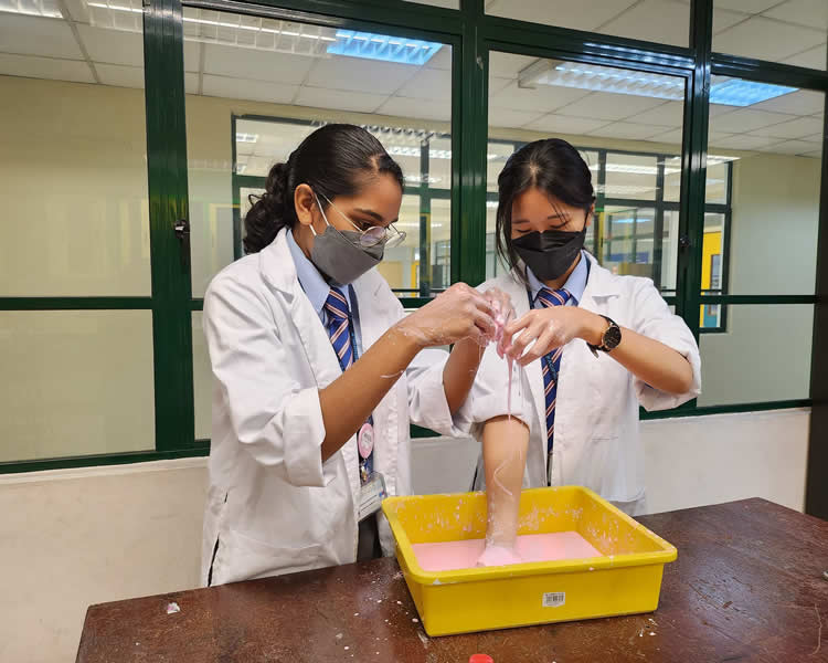 International School in Malaysia